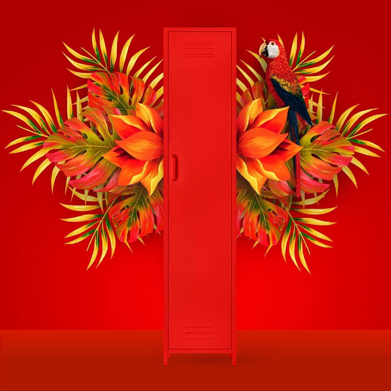 Scarlett 1 Door Multi-Purpose Cabinet